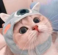 BÃ¡o Tiáº¿ng nÃ³i Viá»‡t Nam, VOV