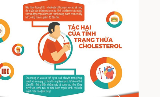 Người Việt Nam thừa cholesterol trong cơ thể đang ở mức cao