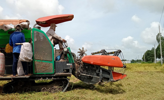 Việt Nam đứng trước cơ hội lớn để trở thành hình mẫu về kinh tế tuần hoàn