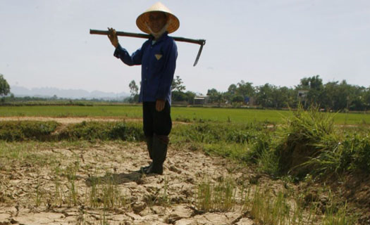 Đồng bằng sông Cửu Long: Nguy cơ lũ không về