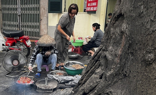 Cây xanh ở Hà Nội đang bị đối xử như thế nào?