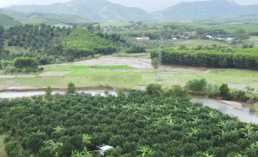 Kết nối tìm đầu ra cho nông sản miền núi