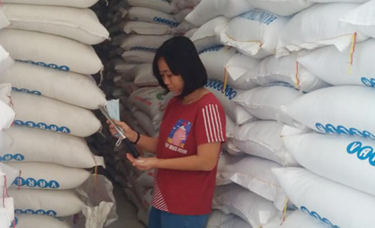 ĐBSCL: Lúa gạo tăng, thị trường hút hàng