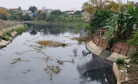 Bộ NN&PTNT đề nghị xử lý các tổ chức, cá nhân gây ô nhiễm sông Ngũ Huyện Khê