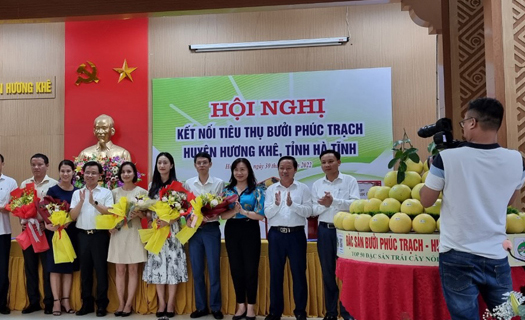 Thúc đẩy thương mại điện tử kết nối tiêu thụ bưởi Phúc Trạch Hà Tĩnh 2022