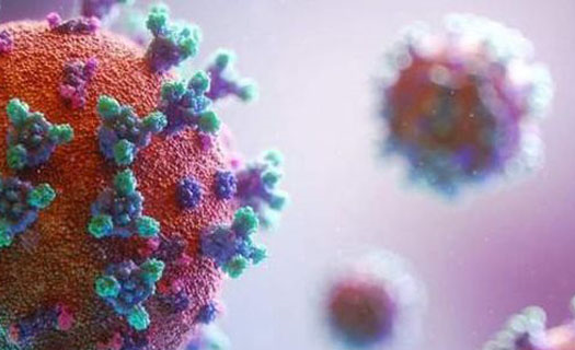 Virus SARS-CoV-2 biến chủng không ngừng thành nhiều biến thể, thế giới lo ngại